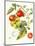 Tomatoes, 1994-Margaret Ann Eden-Mounted Giclee Print