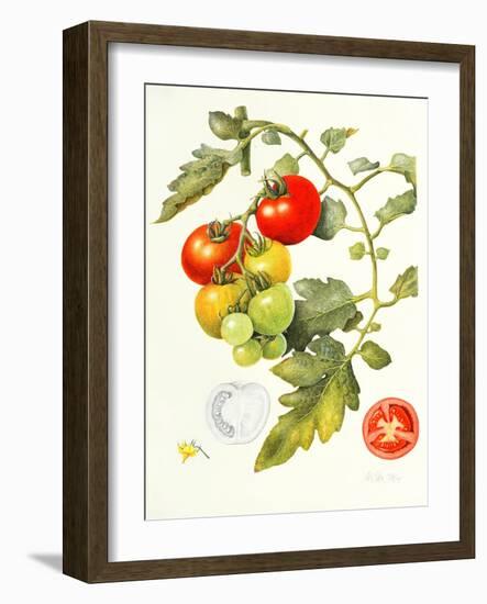 Tomatoes, 1994-Margaret Ann Eden-Framed Giclee Print