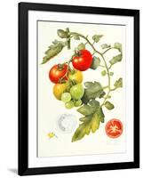 Tomatoes, 1994-Margaret Ann Eden-Framed Giclee Print