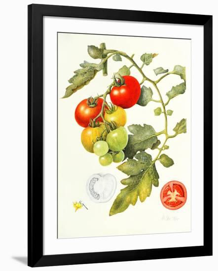 Tomatoes, 1994-Margaret Ann Eden-Framed Giclee Print