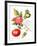 Tomatoes, 1994-Margaret Ann Eden-Framed Giclee Print