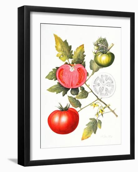 Tomatoes, 1994-Margaret Ann Eden-Framed Giclee Print