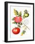 Tomatoes, 1994-Margaret Ann Eden-Framed Giclee Print