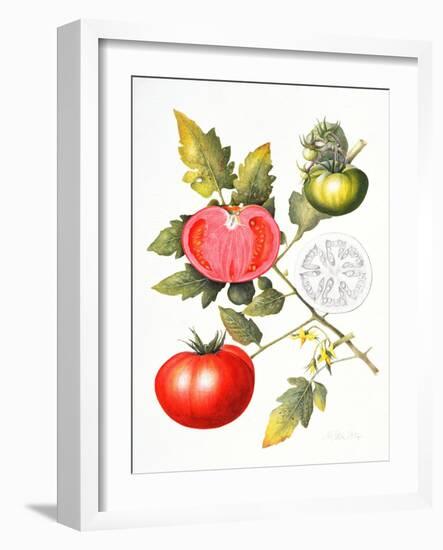 Tomatoes, 1994-Margaret Ann Eden-Framed Giclee Print