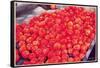 Tomatoes, 1999-Peter Breeden-Framed Stretched Canvas