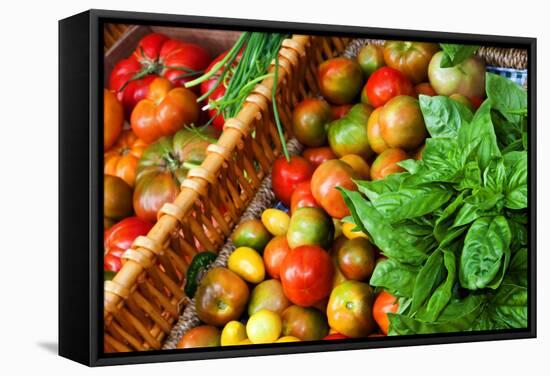 Tomatoes and Basil at Farmers' Market, Savannah, Georgia, USA-Joanne Wells-Framed Stretched Canvas