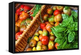 Tomatoes and Basil at Farmers' Market, Savannah, Georgia, USA-Joanne Wells-Framed Stretched Canvas