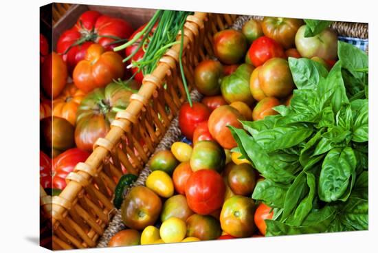 Tomatoes and Basil at Farmers' Market, Savannah, Georgia, USA-Joanne Wells-Stretched Canvas