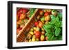 Tomatoes and Basil at Farmers' Market, Savannah, Georgia, USA-Joanne Wells-Framed Photographic Print