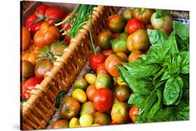 Tomatoes and Basil at Farmers' Market, Savannah, Georgia, USA-Joanne Wells-Stretched Canvas