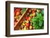 Tomatoes and Basil at Farmers' Market, Savannah, Georgia, USA-Joanne Wells-Framed Photographic Print