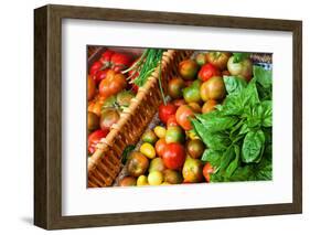 Tomatoes and Basil at Farmers' Market, Savannah, Georgia, USA-Joanne Wells-Framed Photographic Print