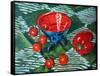 Tomatoes And Pepper-Tilly Willis-Framed Stretched Canvas