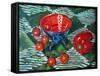 Tomatoes And Pepper-Tilly Willis-Framed Stretched Canvas