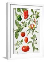 Tomatoes and Related Vegetables, 1986-Elizabeth Rice-Framed Premium Giclee Print