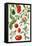 Tomatoes and Related Vegetables, 1986-Elizabeth Rice-Framed Stretched Canvas