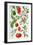 Tomatoes and Related Vegetables, 1986-Elizabeth Rice-Framed Giclee Print