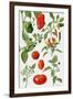 Tomatoes and Related Vegetables, 1986-Elizabeth Rice-Framed Giclee Print