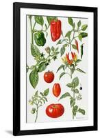 Tomatoes and Related Vegetables, 1986-Elizabeth Rice-Framed Giclee Print