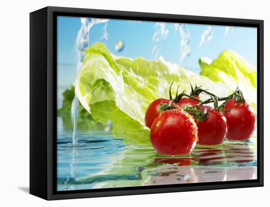 Tomatoes and Romaine Lettuce with Water-Karl Newedel-Framed Stretched Canvas