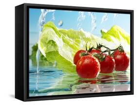 Tomatoes and Romaine Lettuce with Water-Karl Newedel-Framed Stretched Canvas