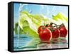 Tomatoes and Romaine Lettuce with Water-Karl Newedel-Framed Stretched Canvas