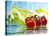 Tomatoes and Romaine Lettuce with Water-Karl Newedel-Stretched Canvas