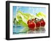 Tomatoes and Romaine Lettuce with Water-Karl Newedel-Framed Photographic Print