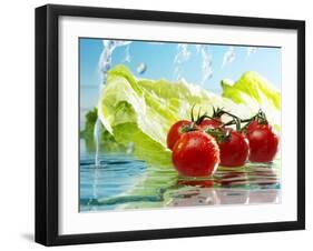 Tomatoes and Romaine Lettuce with Water-Karl Newedel-Framed Photographic Print