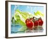 Tomatoes and Romaine Lettuce with Water-Karl Newedel-Framed Photographic Print