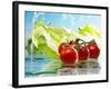 Tomatoes and Romaine Lettuce with Water-Karl Newedel-Framed Photographic Print