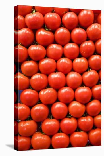 Tomatoes at Boqueria Market in Barcelona-Guido Cozzi-Stretched Canvas