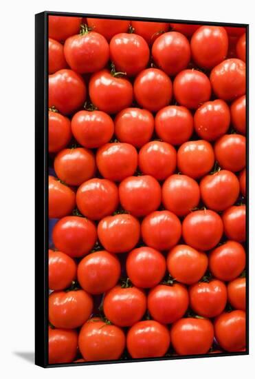 Tomatoes at Boqueria Market in Barcelona-Guido Cozzi-Framed Stretched Canvas