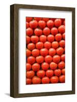 Tomatoes at Boqueria Market in Barcelona-Guido Cozzi-Framed Photographic Print