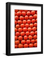 Tomatoes at Boqueria Market in Barcelona-Guido Cozzi-Framed Photographic Print