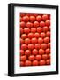 Tomatoes at Boqueria Market in Barcelona-Guido Cozzi-Framed Photographic Print