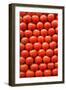 Tomatoes at Boqueria Market in Barcelona-Guido Cozzi-Framed Photographic Print