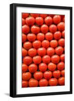 Tomatoes at Boqueria Market in Barcelona-Guido Cozzi-Framed Photographic Print