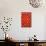 Tomatoes at Boqueria Market in Barcelona-Guido Cozzi-Mounted Photographic Print displayed on a wall