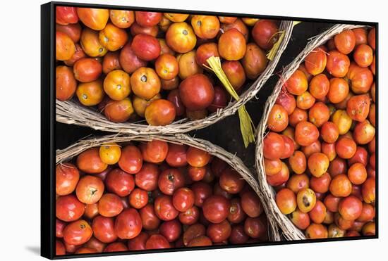 Tomatoes at Hpa an Morning Market, Kayin State (Karen State), Myanmar (Burma), Asia-Matthew Williams-Ellis-Framed Stretched Canvas