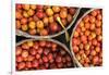 Tomatoes at Hpa an Morning Market, Kayin State (Karen State), Myanmar (Burma), Asia-Matthew Williams-Ellis-Framed Photographic Print