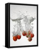 Tomatoes Falling into Water-Kr?ger & Gross-Framed Stretched Canvas