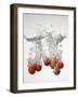 Tomatoes Falling into Water-Kr?ger & Gross-Framed Photographic Print