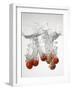 Tomatoes Falling into Water-Kr?ger & Gross-Framed Photographic Print