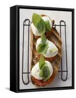 Tomatoes, Mozzarella and Basil on Toasted Bread-null-Framed Stretched Canvas