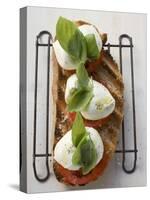 Tomatoes, Mozzarella and Basil on Toasted Bread-null-Stretched Canvas