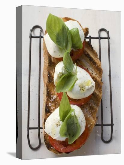 Tomatoes, Mozzarella and Basil on Toasted Bread-null-Stretched Canvas