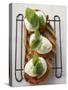Tomatoes, Mozzarella and Basil on Toasted Bread-null-Stretched Canvas