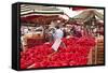 Tomatoes on Sale at the Open Air Market of Piazza Della Repubblica, Turin, Piedmont, Italy, Europe-Julian Elliott-Framed Stretched Canvas