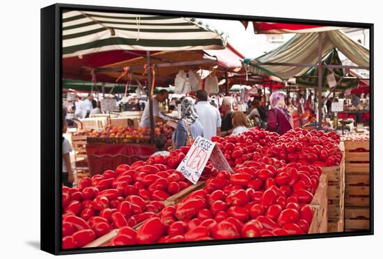 Tomatoes on Sale at the Open Air Market of Piazza Della Repubblica, Turin, Piedmont, Italy, Europe-Julian Elliott-Framed Stretched Canvas